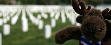 Brad at the Arlington National Cemetery