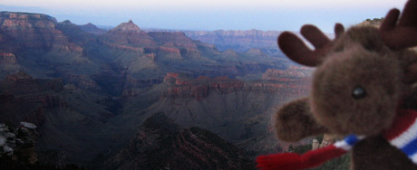 Brad at the Grand Canyon